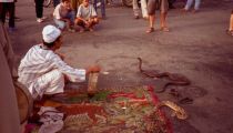 Foto: Lietas, kas jāizdara